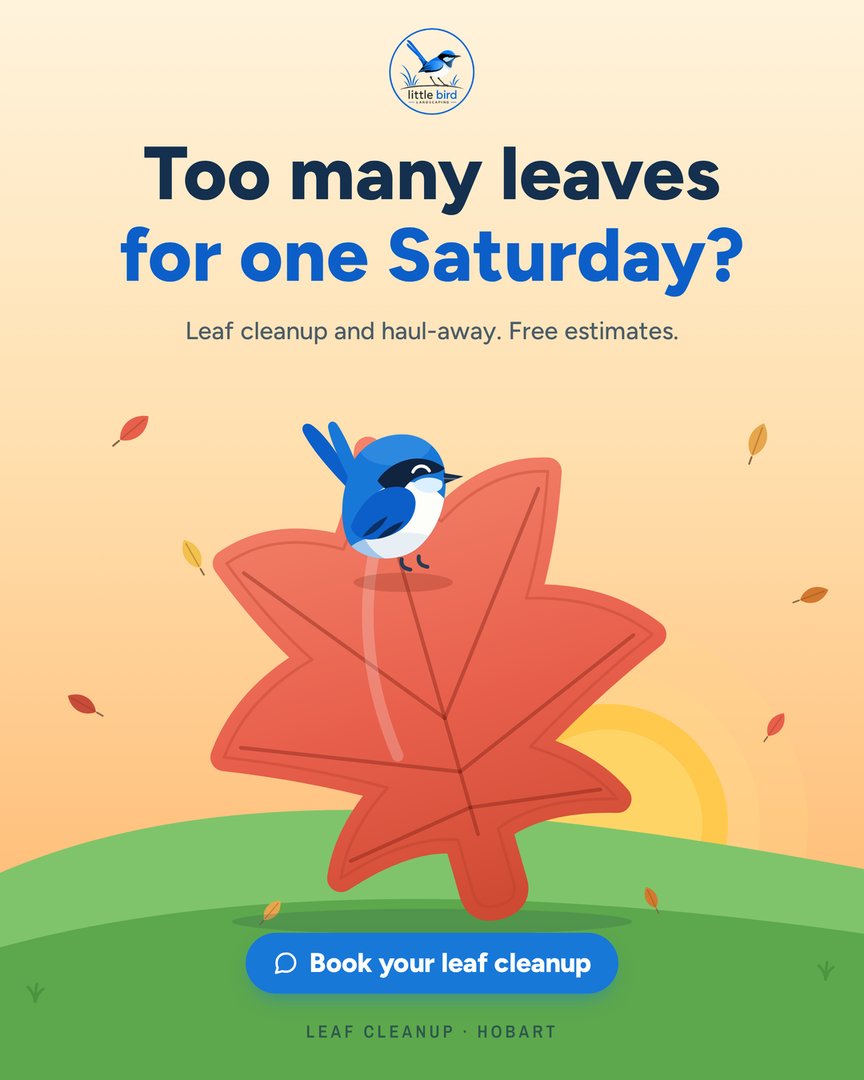 Little Bird post: Too many leaves for one Saturday?