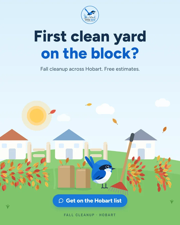 Illustrated Hobart street with one raked yard