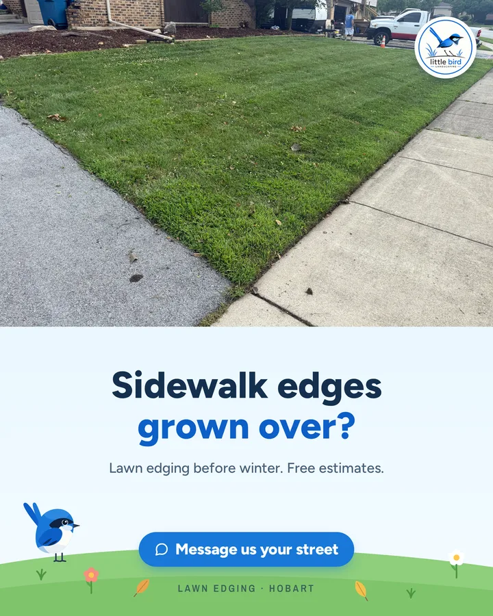 A freshly edged front lawn along the sidewalk